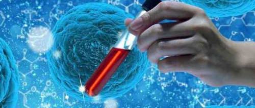 移植新鲜胚胎成功率高吗