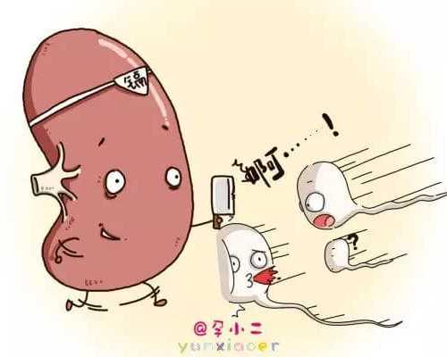 秦皇岛妇幼可以做三代试管婴儿吗多少钱啊