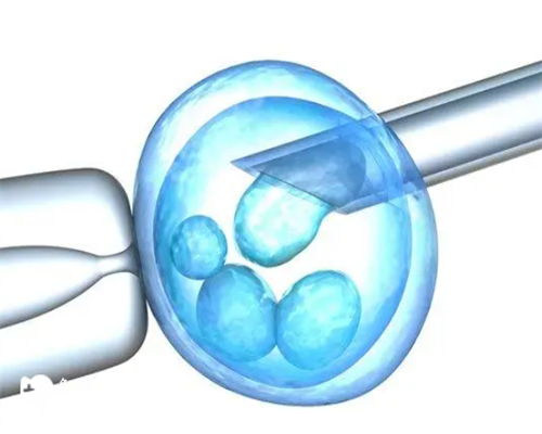 试管着床后注意事项和饮食注意事项有哪些
