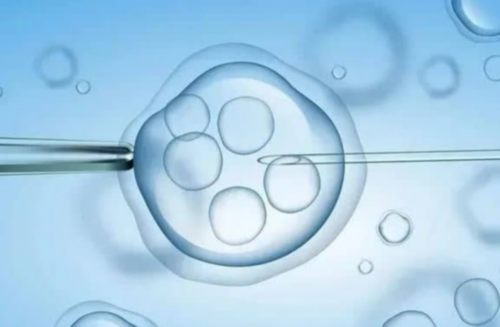 试管取卵前吃地塞米松的作用大吗有影响吗