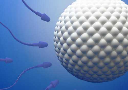 月经第三天开始打针促排第几天取卵比较好