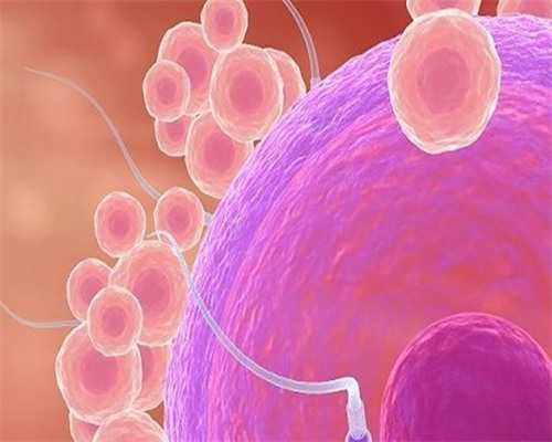 2026年长海医院供卵试管费用是多少？，附上最新供卵试管费用明细