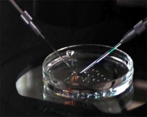 输卵管堵塞做试管婴儿前的检查是什么项目