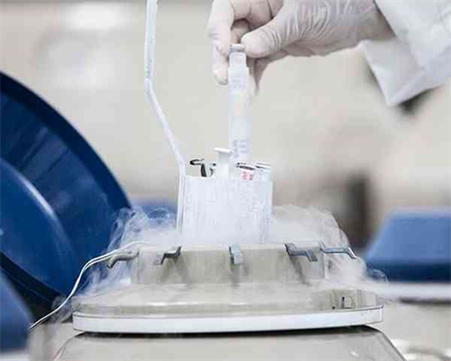 试管降调期间可以吃哪些蔬菜和水果好一点