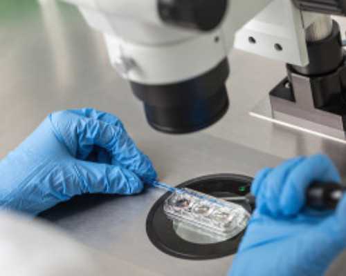 试管婴儿做两个成功案例是什么原因造成的