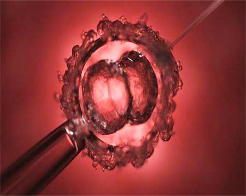 代孕第三代试管成功率,
两岁半宝宝吃退烧药后再次低烧,如何退烧