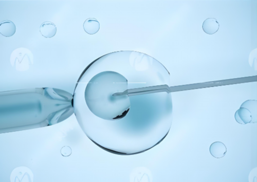 试管婴儿取卵到移植为什么要一个月才移植