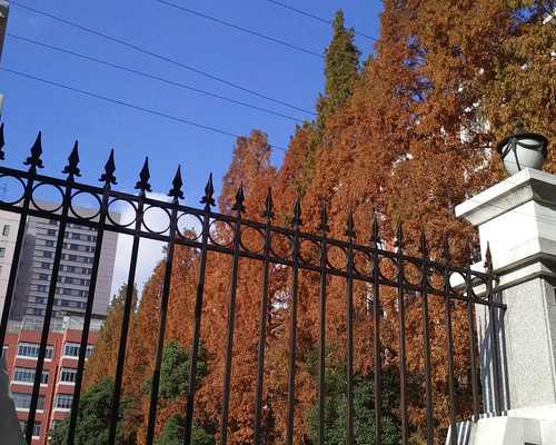 神中泰助孕_圆梦助孕价格表,惠州试管婴儿医院哪家好(惠州试管婴儿医院哪家好