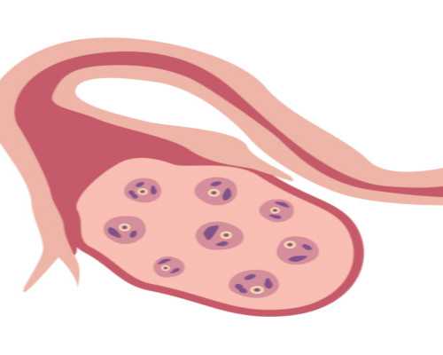 试管移植后需要做几次b超检查呢要多少钱
