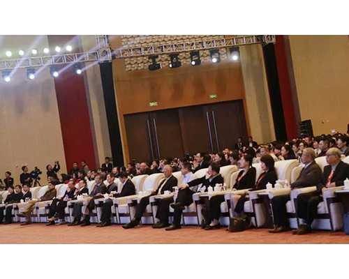 移植c级鲜胚成功会对胎儿的发育有影响吗