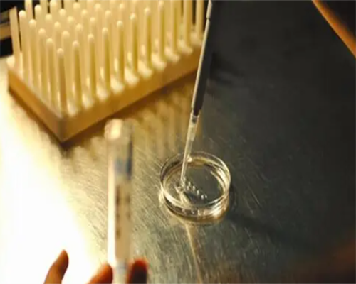 移植成功二十三天试纸比昨天的浅了怎么办