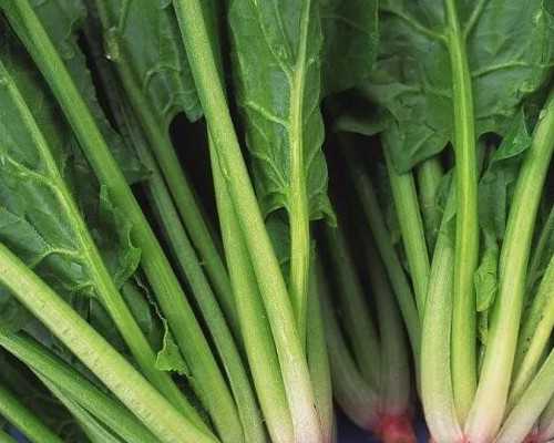 移植后六天排卵试纸弱阳有希望吗会怀孕吗