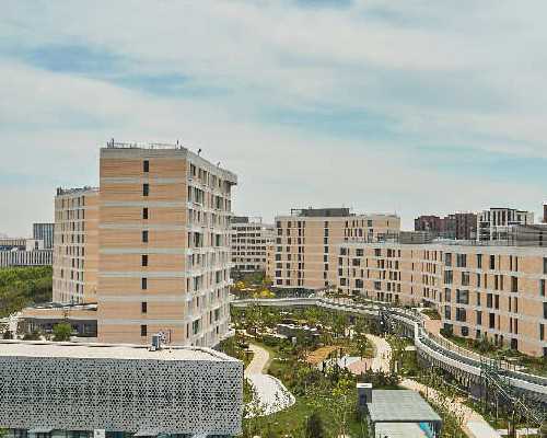 试管移植成功后要做什么检查呢女性多少周