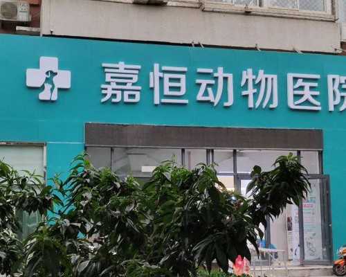 试管移植后体温一直在37度以上是怀孕嘛