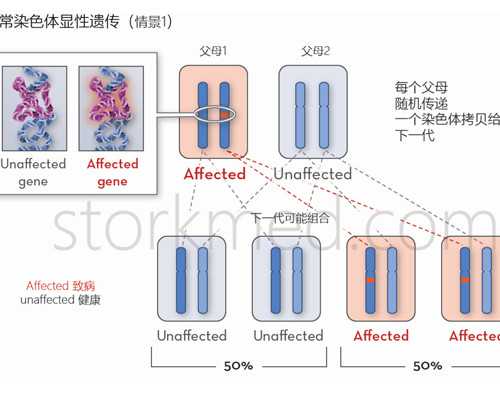 海南省琼海市中医院 试管多少钱一次报销