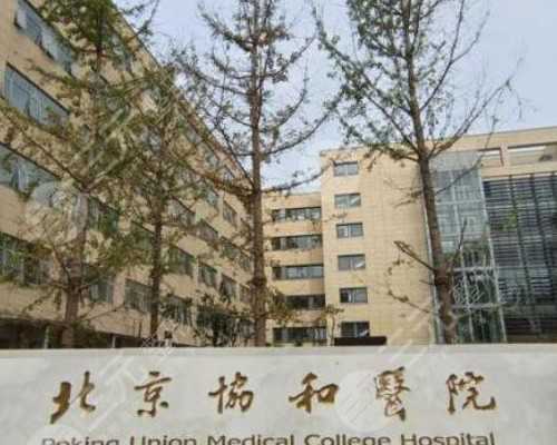 供卵试管能否满足失独老人群体？