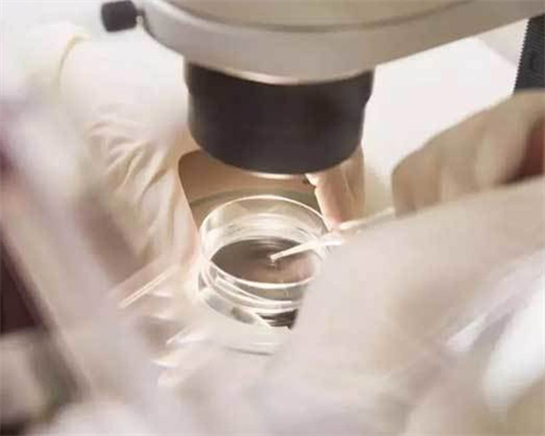 多囊促排不成功改试管有影响吗孕妇怎么办