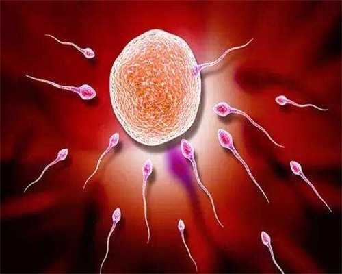 试管婴儿是直接把胚胎放入子宫吗