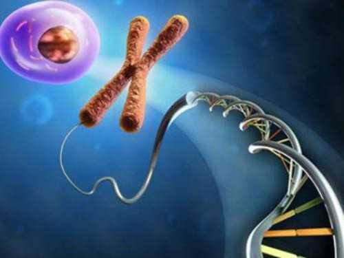 试管婴儿移植后21天未见胎芽及胎心搏动