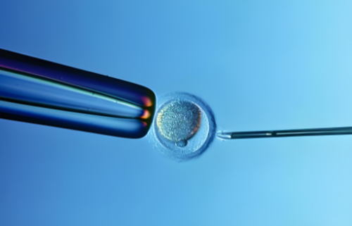 相因试管靠谱吗,深圳正规医院*试管多少钱单周期15万够吗